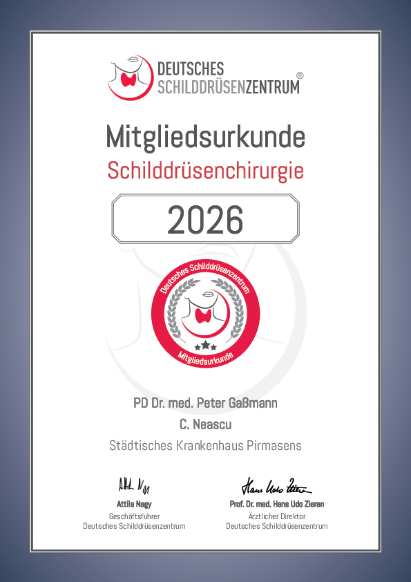 PDF Mitgliedsurkunde Schilddrüsenzentrum